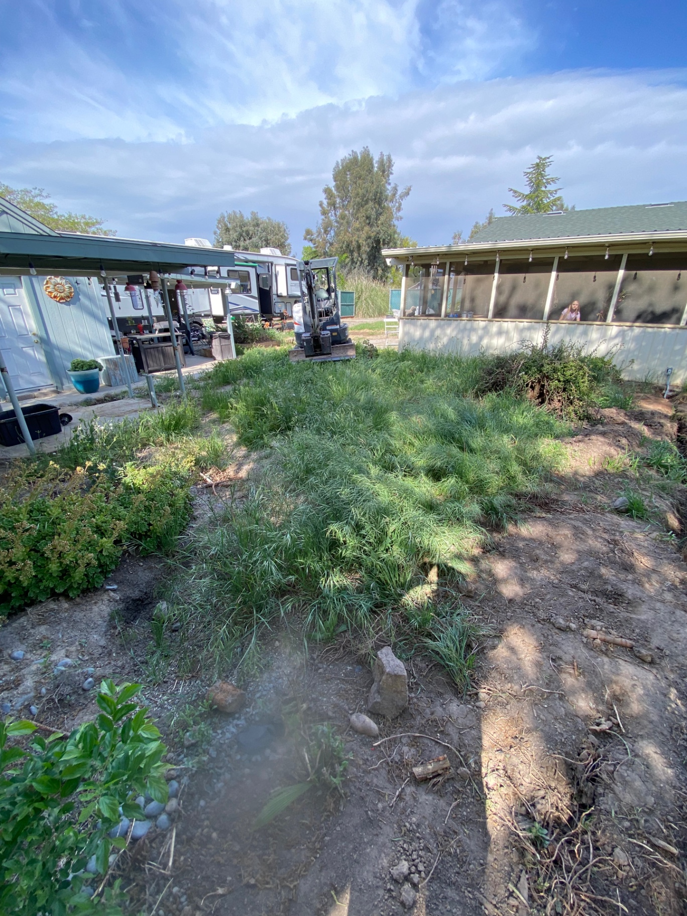 Overgrown backyard prep area